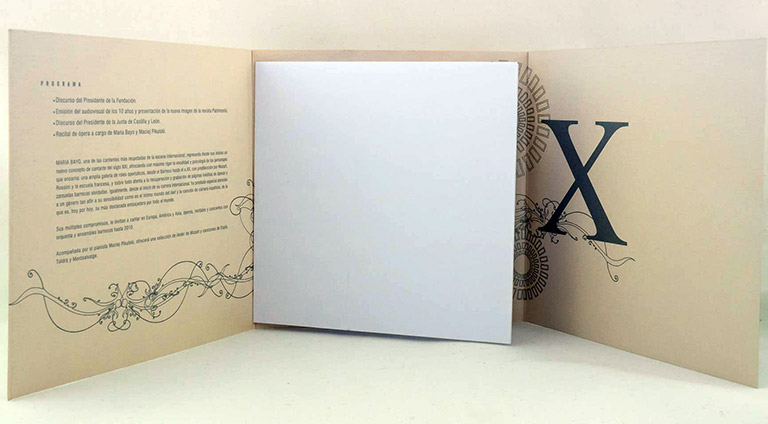 Junta de Castilla y León