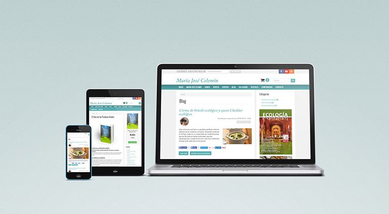 Maria José Celemín